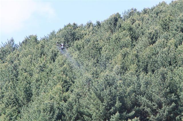 臨江林業(yè)局:無人機噴藥防蟲大顯身手(圖1) 臨江林業(yè)局:無人機噴藥防蟲大顯身手(圖1)