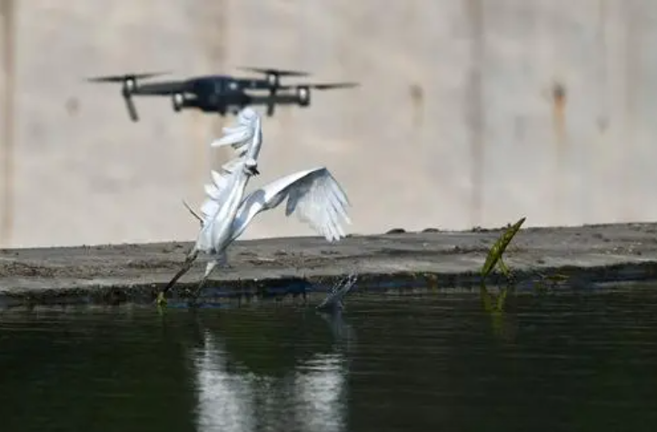 重點關注 2022年即將實施的無人機新規(圖5) 重點關注 2022年即將實施的無人機新規(圖5)