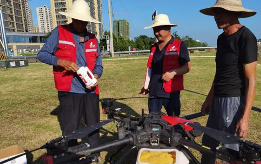 紅火蟻“一鍋端”湘潭市出動無人機拋撒滅殺餌劑(圖1)
