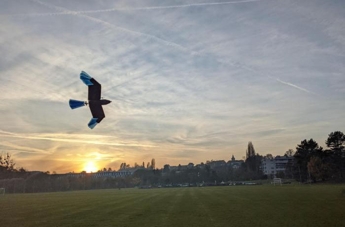最新研發(fā)鳥型無人機(jī) 可在城市森林等密集環(huán)境轉(zhuǎn)彎避障(圖1) 最新研發(fā)鳥型無人機(jī) 可在城市森林等密集環(huán)境轉(zhuǎn)彎避障(圖1)